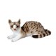thumbnail image 3 of Juguete De Peluche De Gato Para Decoración De Habitación Infantil, Mu?eco De Gato Acurrucable Para Adultos, Ni?os Y Ni?as, Gris, 25 Cm, 3 of 5