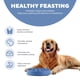 thumbnail image 3 of Dog Bowl Outward Hound Fun Feeder Slo Bowl, alimentador lento, azul, 3 of 6