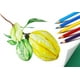 thumbnail image 2 of SKKSTATIONERY 50 lápices de colores en lata, 50 colores vibrantes, 2 of 3