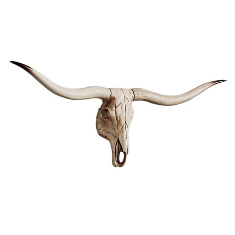 Bothyi - Resina Long Horned Ram Decor Skull Wall Mount Skull Decor Para Home Office A 77.5X32X12Cm