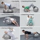 thumbnail image 3 of Balón Ovalado Pilates Yoga Tipo Maní 90x45cm Kine - Norplat Plateado, 3 of 3