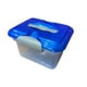 thumbnail image 4 of Caja Organizadora Kitty 4L Polipropileno color surtido 1 un, 4 of 6