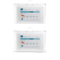 Set 2 Almohadas Cannon Viscoelastica Memory 40X60Cm