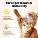 thumbnail image 4 of Multivitamínico para gatos BuddyCheer 12 vitaminas 5 minerales 450 masticables, 4 of 9