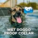 thumbnail image 5 of Collar de entrenamiento Dogtra CUE Gen 2 Tan para perros a prueba de agua, 5 of 7