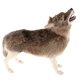 thumbnail image 4 of Juguete Relleno De La Felpa Del Lobo De La Simulación Para Los Regalos De Cumplea?os De Los Ni?os, 4 of 5