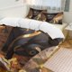 thumbnail image 1 of Umbreon Bed Duvet Cover Funny Anime Cartoon Bedding Sets Lightweight 3 Piece Comforter Sets, 1 of 5