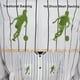 thumbnail image 4 of Estabilizador de bordado New Brothread No Show Mesh, rollo de 12 x 50 m, 4 of 6