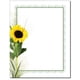 thumbnail image 1 of Membrete The Image Shop 21 × 28 cm – Pack de 25 hojas, 1 of 1