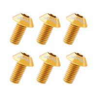 Magideal - 6 Piezas Pernos De Rotor De Freno De Disco De Bicicleta Pernos De Titanio Duraderos De Alta Calidad Perno De Rotor De Bicicleta M5 X 10 Mm Para Bicicl Oro