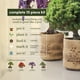 thumbnail image 3 of Kit de inicio para bonsáis Planters' Choice con 4 tipos de semillas, 3 of 9