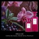 thumbnail image 2 of Aerosol Hair + Body Mist Fine'ry Fruity Floral Elegant Madame, 2 of 5