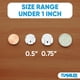 thumbnail image 2 of Vaso Sea Shell Home Sand Dollars, 50 unidades de menos de 2,54 cm, 2 of 7