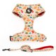 thumbnail image 1 of Juego de arnés y correa COOWONE talla S 13‑19 cm sin tirón, 1 of 6
