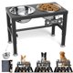 thumbnail image 1 of Juego de 2 comederos elevados SHAINFUN de 58 oz con alfombra antideslizante, 1 of 7
