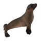 thumbnail image 1 of animales marinos de plástico juguete figuras de modelo de vida marina juguetes para ni?os león marino, 1 of 5