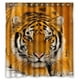 thumbnail image 1 of Cortina de ducha con diseño de tigre durmiendo, con ganchos, 167 x 183 cm, 1 of 3