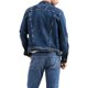 thumbnail image 3 of Chaqueta Levi's Trucker Colusa/Stretch para hombre Big & Tall, 3 of 3