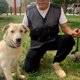 thumbnail image 5 of Chaleco De Adiestramiento De Perros Para Adiestradores Ropa De Adiestrador De Perros Para Entrenadores De Mascotas Chaqueta, 5 of 6