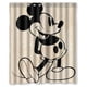 thumbnail image 1 of Cortina de ducha de Mickey y Minnie Mouse, juego de cortinas de baño con ganchos, tamaño 66 x 72 pulgadas, 1 of 3