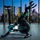 thumbnail image 5 of Spinning Ten Series XT50, 5 of 5