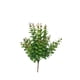 thumbnail image 1 of Ramo Decorativa Arbusto Money Verde-Rojo, 1 of 3