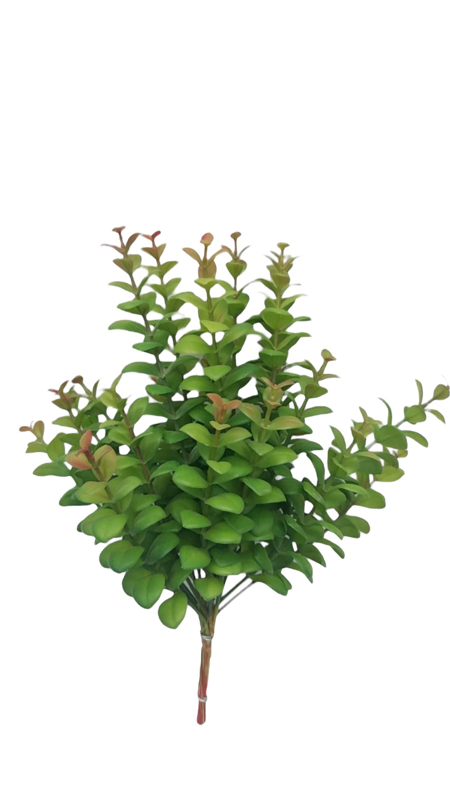 Corel - Ramo Decorativa Arbusto Money Verde-Rojo