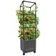 thumbnail image 1 of Soporte para plantas trepadoras Emsco City Picker Trellis Tower, 1 of 6
