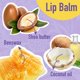 thumbnail image 5 of Bálsamo labial AZEN 24 unidades - 12 sabores hidratantes, 5 of 9