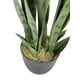 thumbnail image 2 of Sansevieria Verde 69cm Artificial, 2 of 3