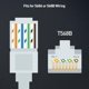 thumbnail image 2 of Enchufes modulares Cable Matters CAT6 RJ45, paquete de 100, 2 of 7