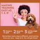 thumbnail image 4 of ¡Spray atrayente para perros OUT! Entrena para ir al baño con 960 ml, 4 of 7