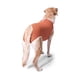thumbnail image 5 of BODY COBRE KIMBA TRADICIONAL TALLA 9 (21 A 25 KG) naranja, 5 of 6