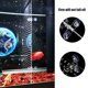 thumbnail image 3 of Divisor para Acuario LYL LEYOULAND 44 × 30 cm – Juego de 2, 3 of 7