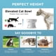 thumbnail image 5 of Cuenco Elevado Blanco para Gato 猫壱, Apto para Lavavajillas, 300 ml, 5 of 8
