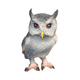 thumbnail image 1 of Figura Animal Buho Buinzoo, 1 of 3