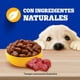 thumbnail image 4 of Alimento Húmedo Cachorro Sabor Carne Pouch, 85 g, 4 of 9