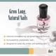 thumbnail image 2 of Sistema De Crecimiento De Uñas Rejuvacote 1 Original 13 Ml, 2 of 7