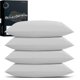 thumbnail image 1 of Funda de almohada TEXAS LINEN CO. King, juego de 4, gris claro, 1 of 9