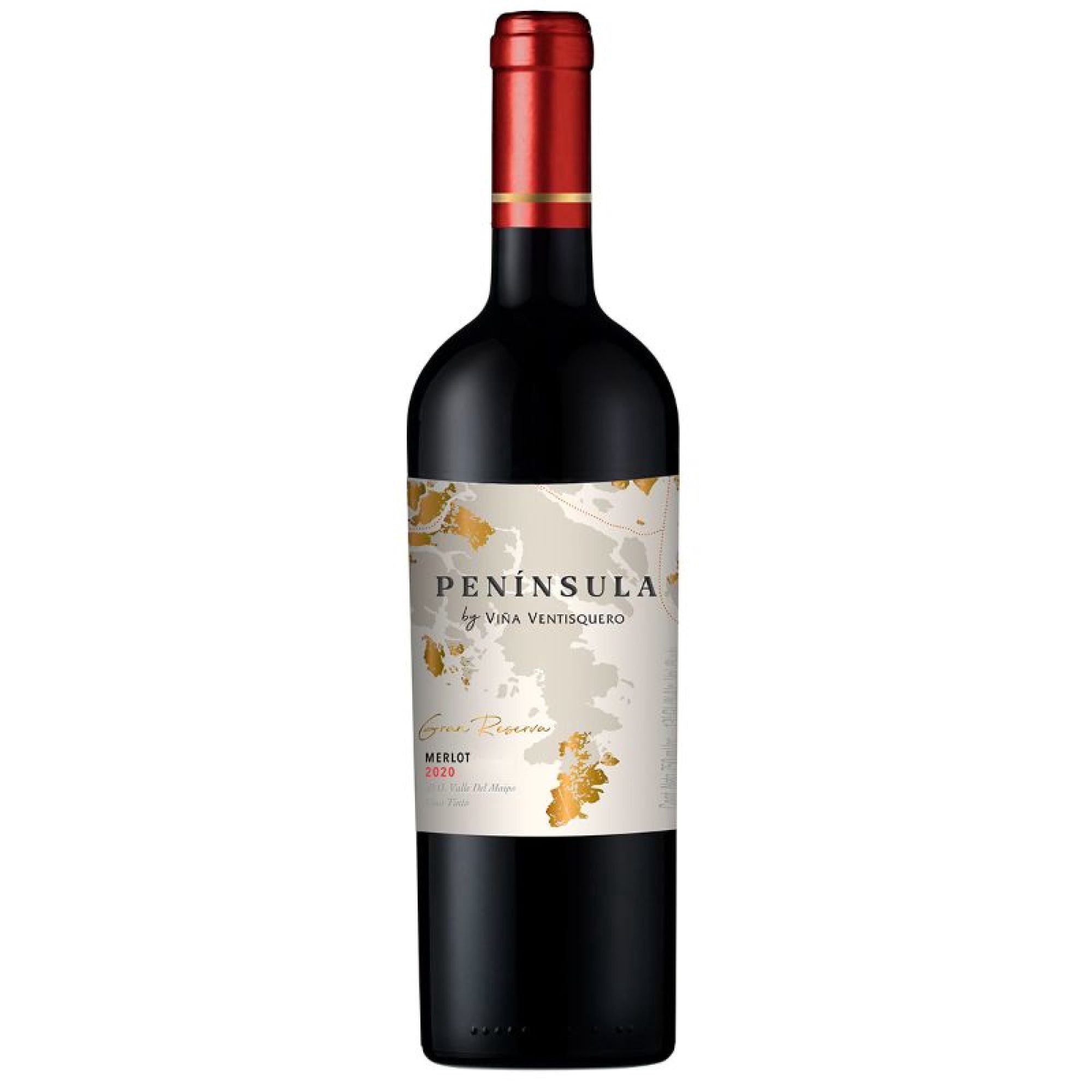 Vino Tinto Botella 750 mL Ventisquero