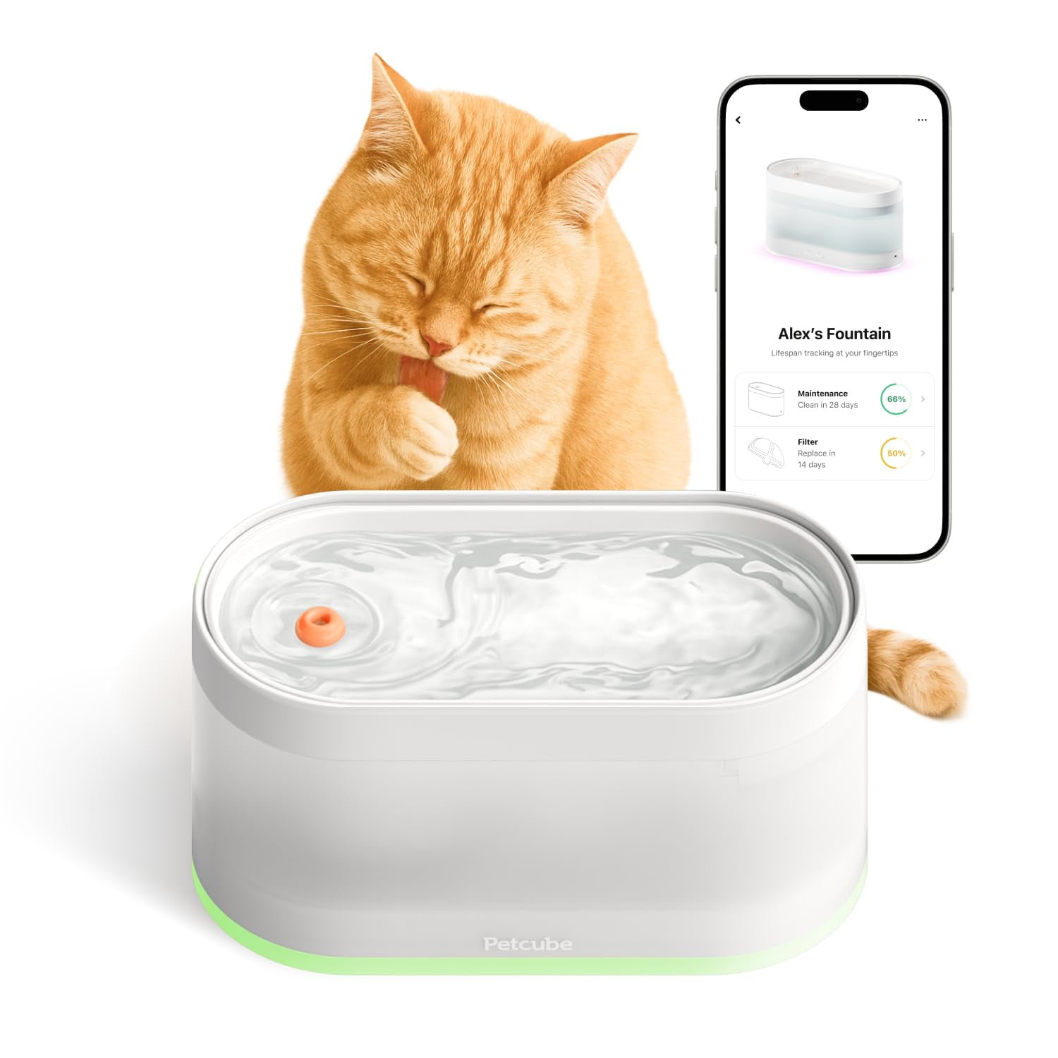 Fuente De Agua Petcube Automática Inalámbrica Para Gatos Y Perros, 1.7 L