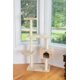 thumbnail image 5 of Árbol para gatos Gleepet GP78560321 de 145 cm, beige, con postes rascadores, 5 of 6