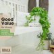 thumbnail image 5 of Planta Pothos de seda artificial ROVALA para decoración del hogar e interiores, 5 of 8