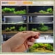 thumbnail image 2 of Mineral para camarones SALTYSHRIMP 200 g GH/KH+, 2 of 7