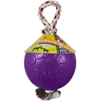 Juguete Para Perro Jolly Pets Cuerda Y Pelota Romp-N-Roll 11.4 Cm Morado