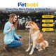 thumbnail image 5 of Cable de amarre para perros Petbobi de 9 m con estaca de 42 cm, azul, 5 of 6