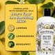 thumbnail image 5 of Spray de baño Poo-Pourri Before-You-Go Original Citrus 473 ml, 5 of 9