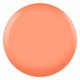 thumbnail image 2 of Set de esmaltes en gel DAISY DND Orange Collection 655 Cantaloupe, 2 of 6