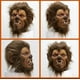 thumbnail image 3 of Mascara Halloween Hombre Lobo Werewolf, 3 of 5