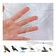 thumbnail image 4 of Red Anti Pájaros 4mts X 10mts Malla Balcón Ventanas + 100 Bridas Para Cables, 4 of 8